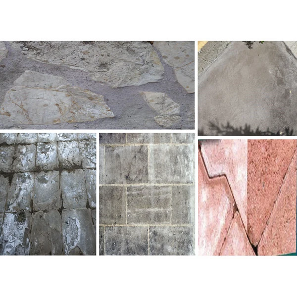 Nettoyant Dallage Nettoyant Voiles De Ciment Dallage Carrelage ALGICIM 5l Algimouss 006002 2 Nettoyant Dallage Nettoyant Voiles De Ciment Dallage Carrelage ALGICIM 5l Algimouss 006002 – Image 2